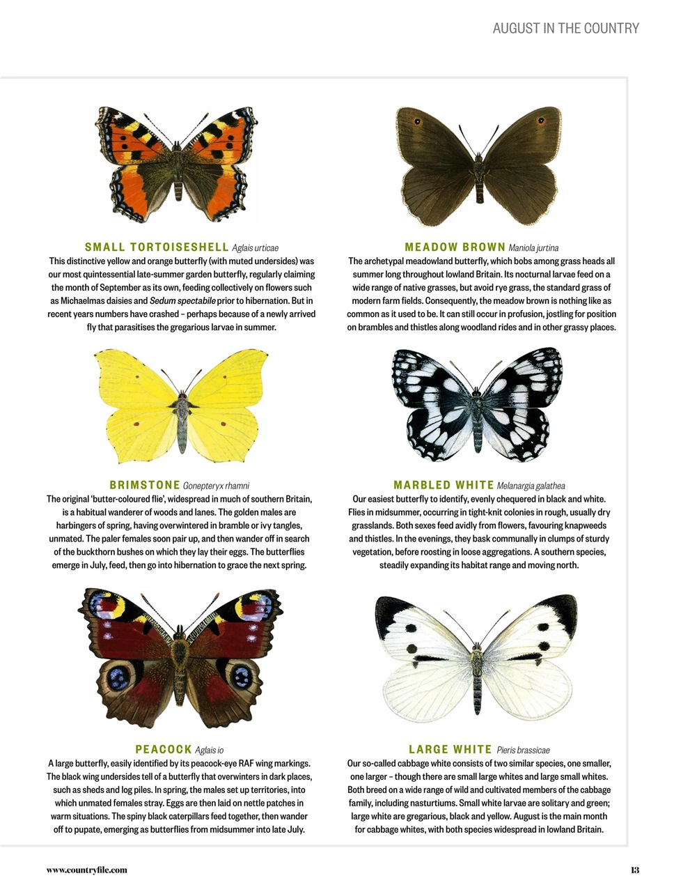 BBC Countryfile Magazine Preview Pages