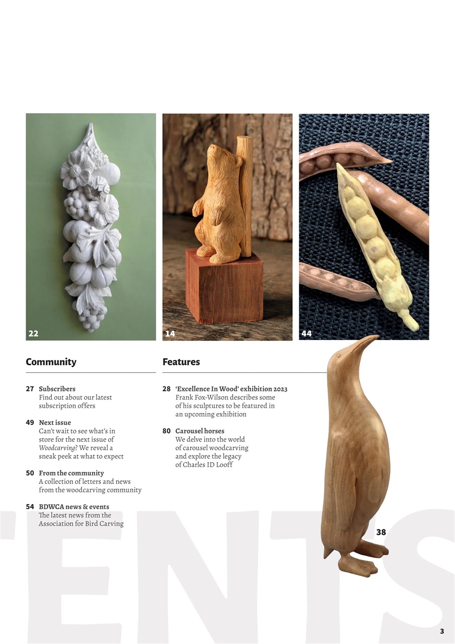 Woodcarving Preview Pages