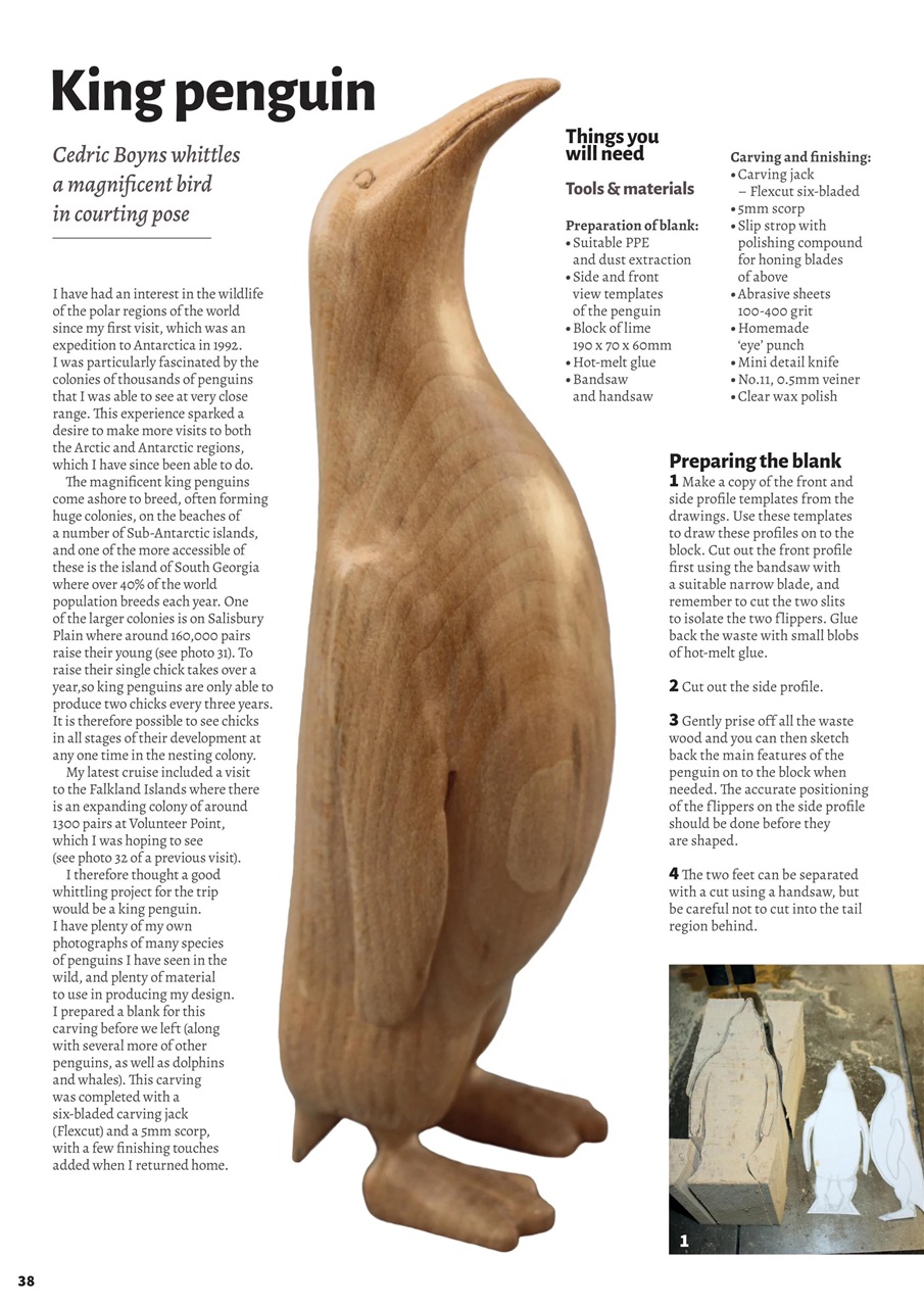 Woodcarving Preview Pages