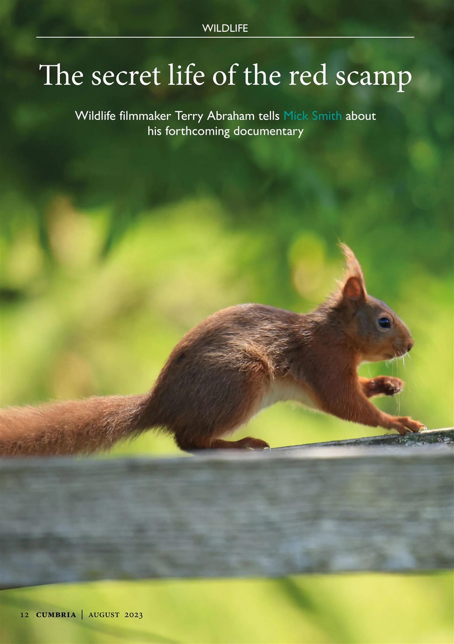 Cumbria and Lakeland Walker Preview Pages