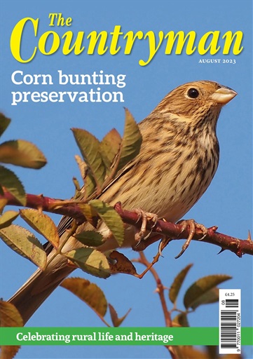 The Countryman issue 