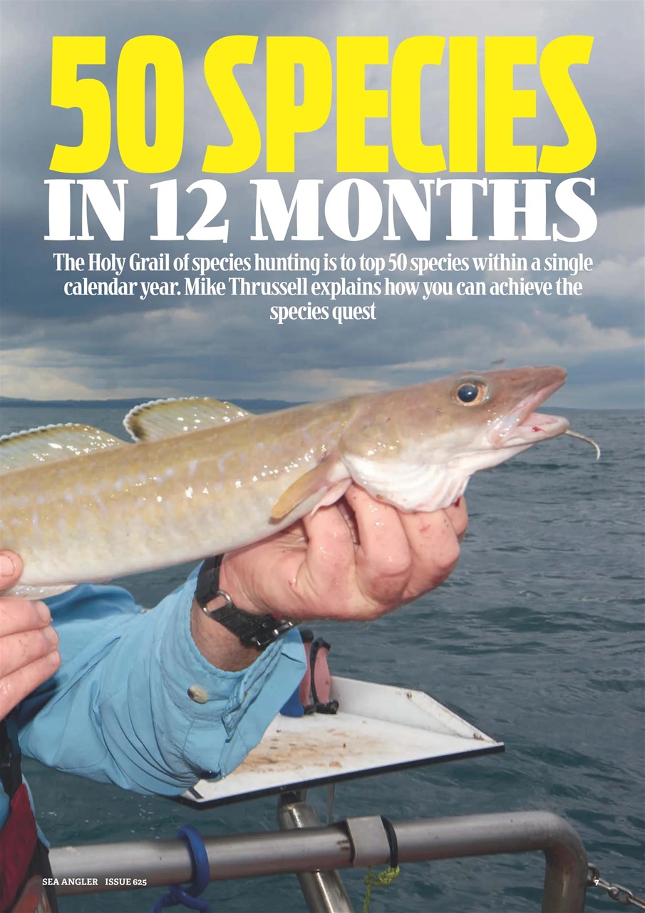 Sea Angler Preview Pages