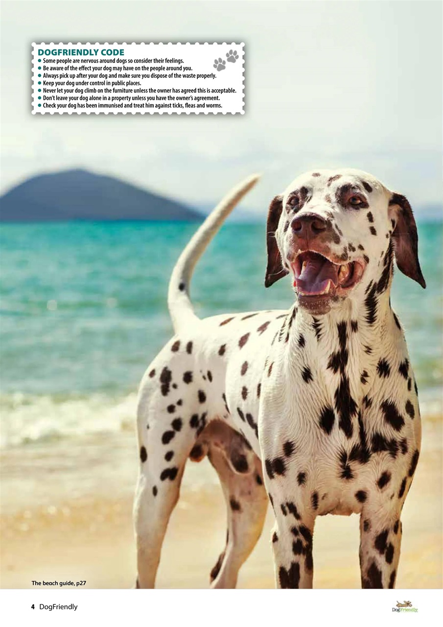 Dog Friendly Preview Pages