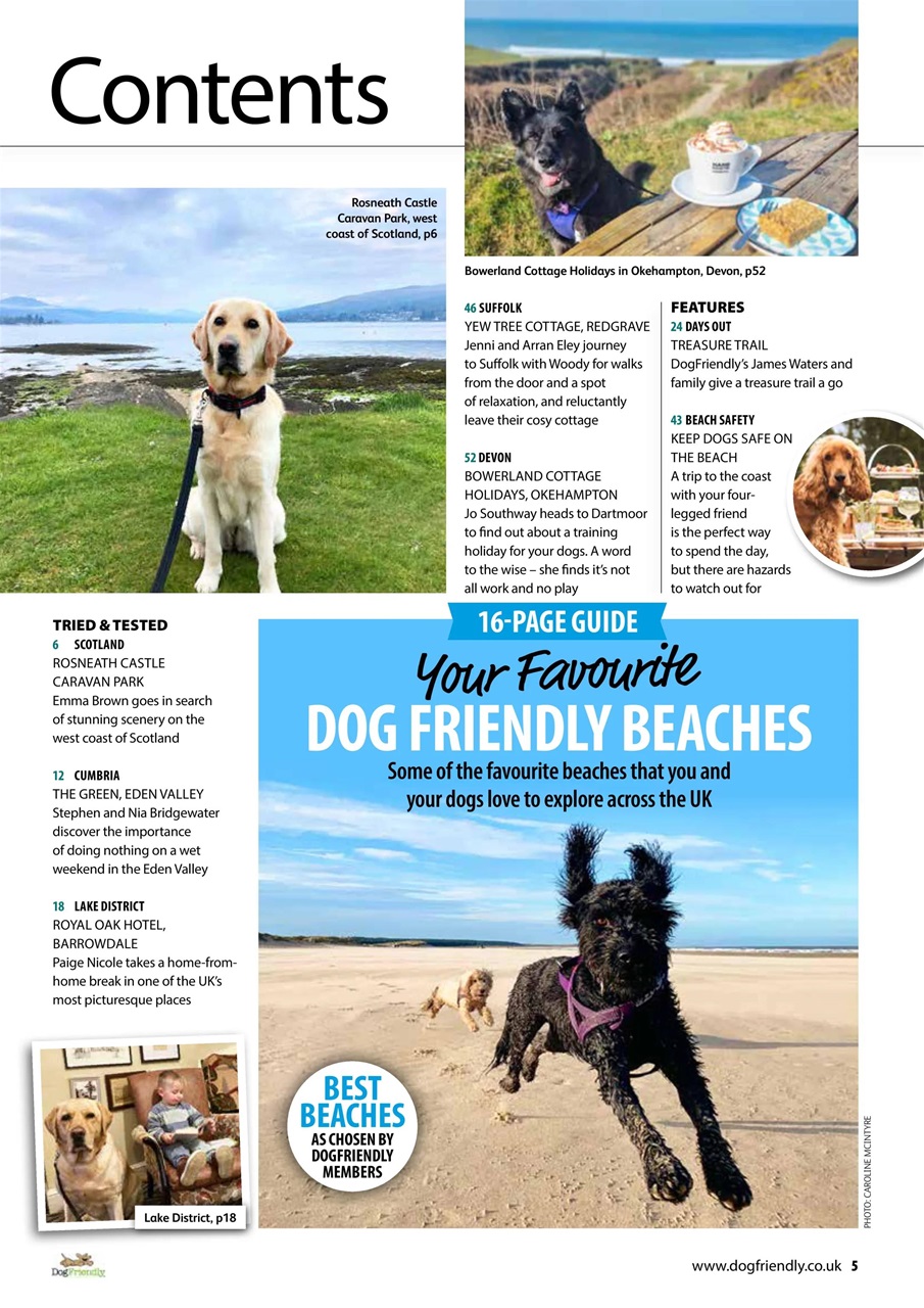 Dog Friendly Preview Pages