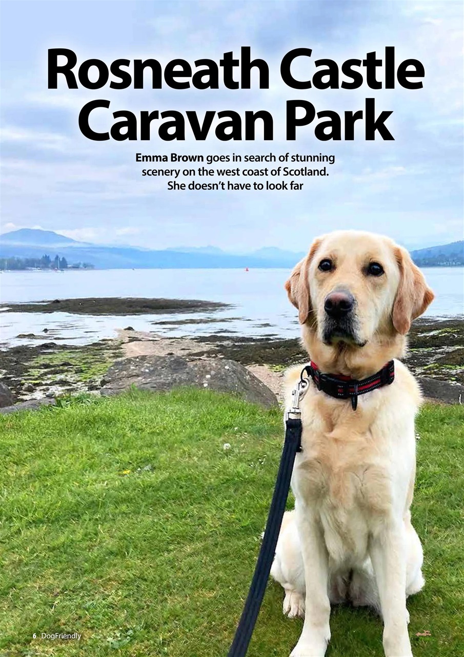 Dog Friendly Preview Pages