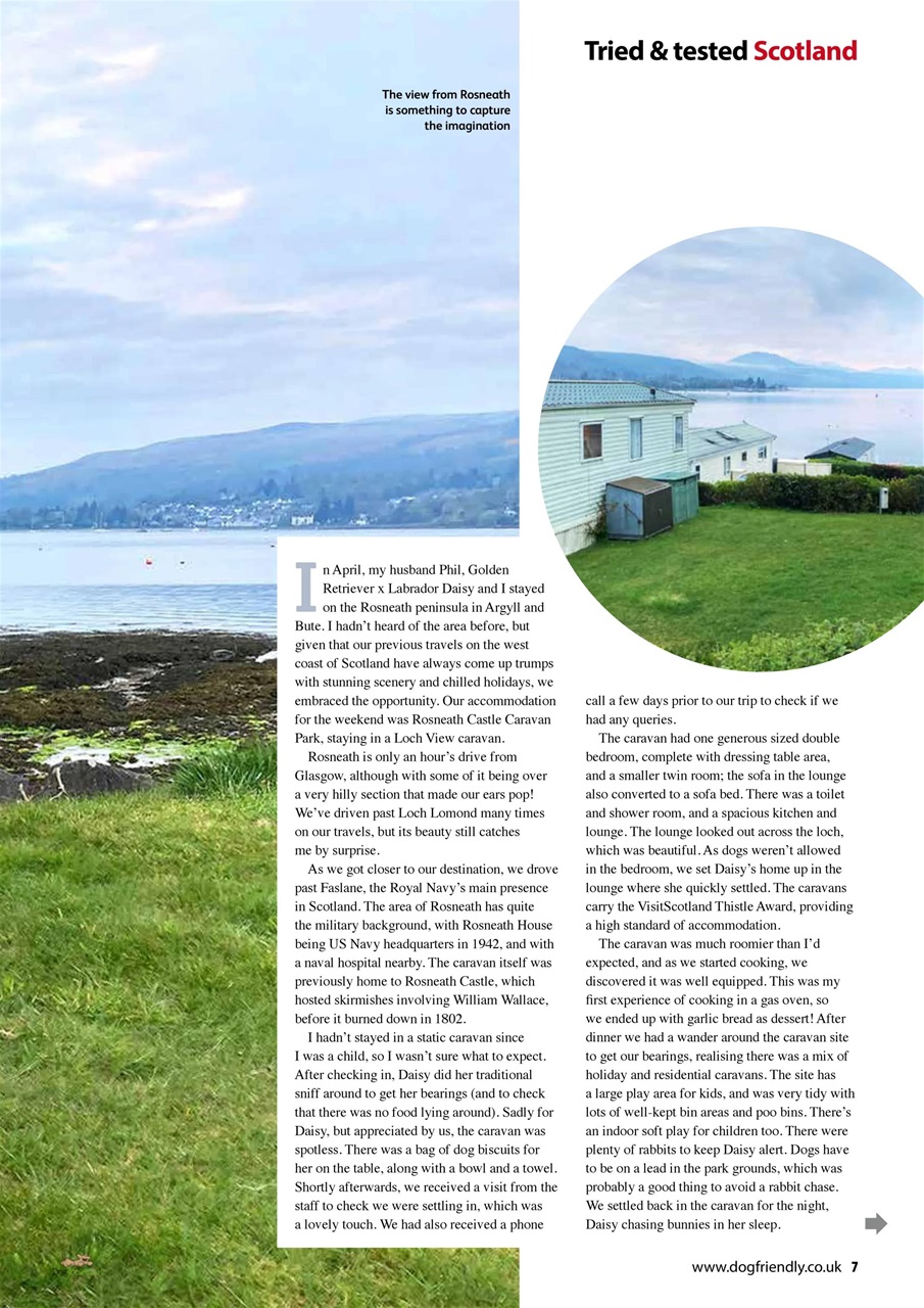 Dog Friendly Preview Pages