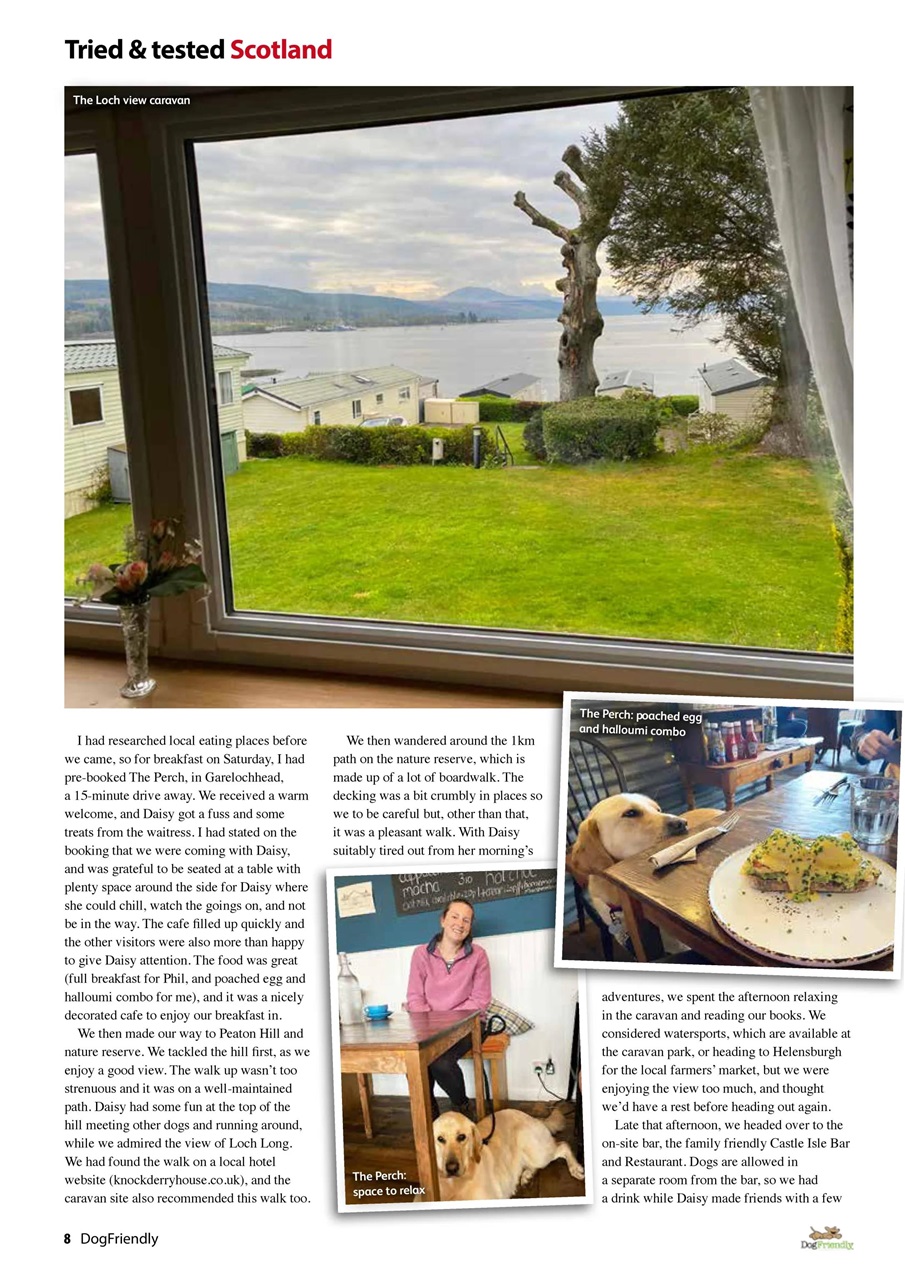 Dog Friendly Preview Pages