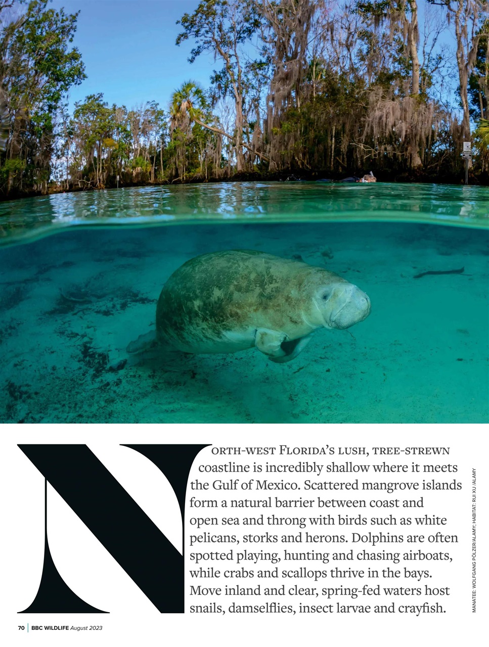 BBC Wildlife Magazine Preview Pages