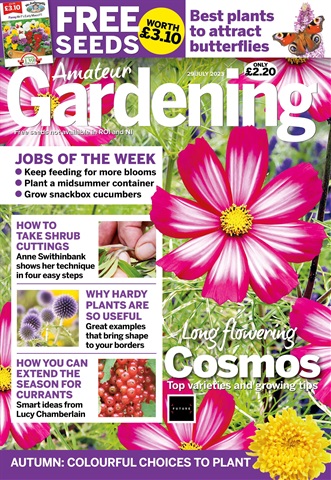 Amateur Gardening issue 29th July 2023