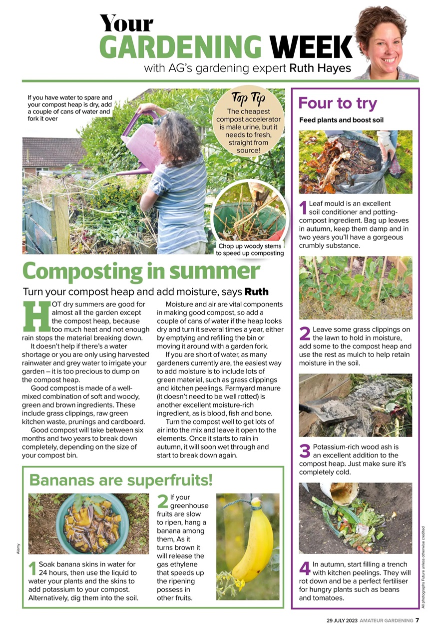 Amateur Gardening Preview Pages