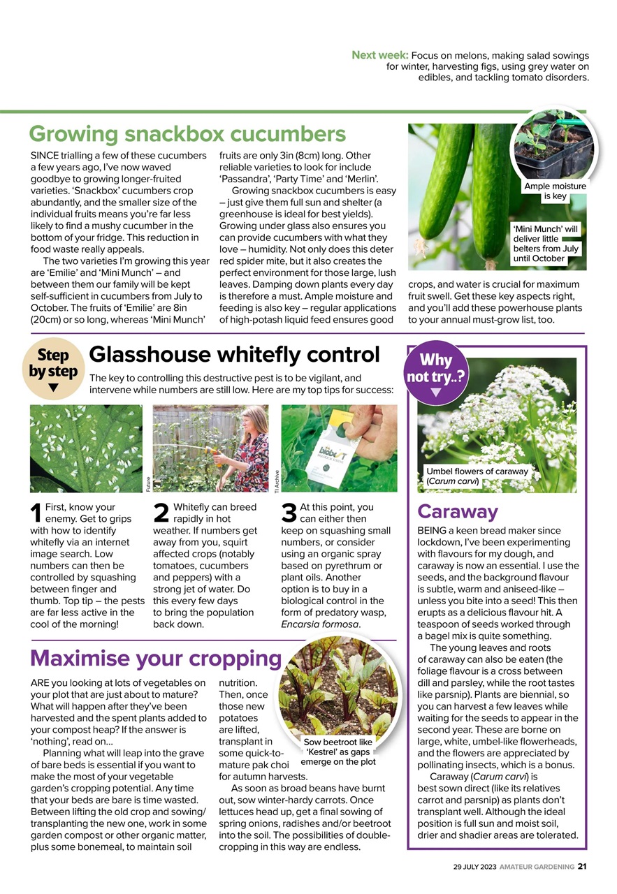 Amateur Gardening Preview Pages