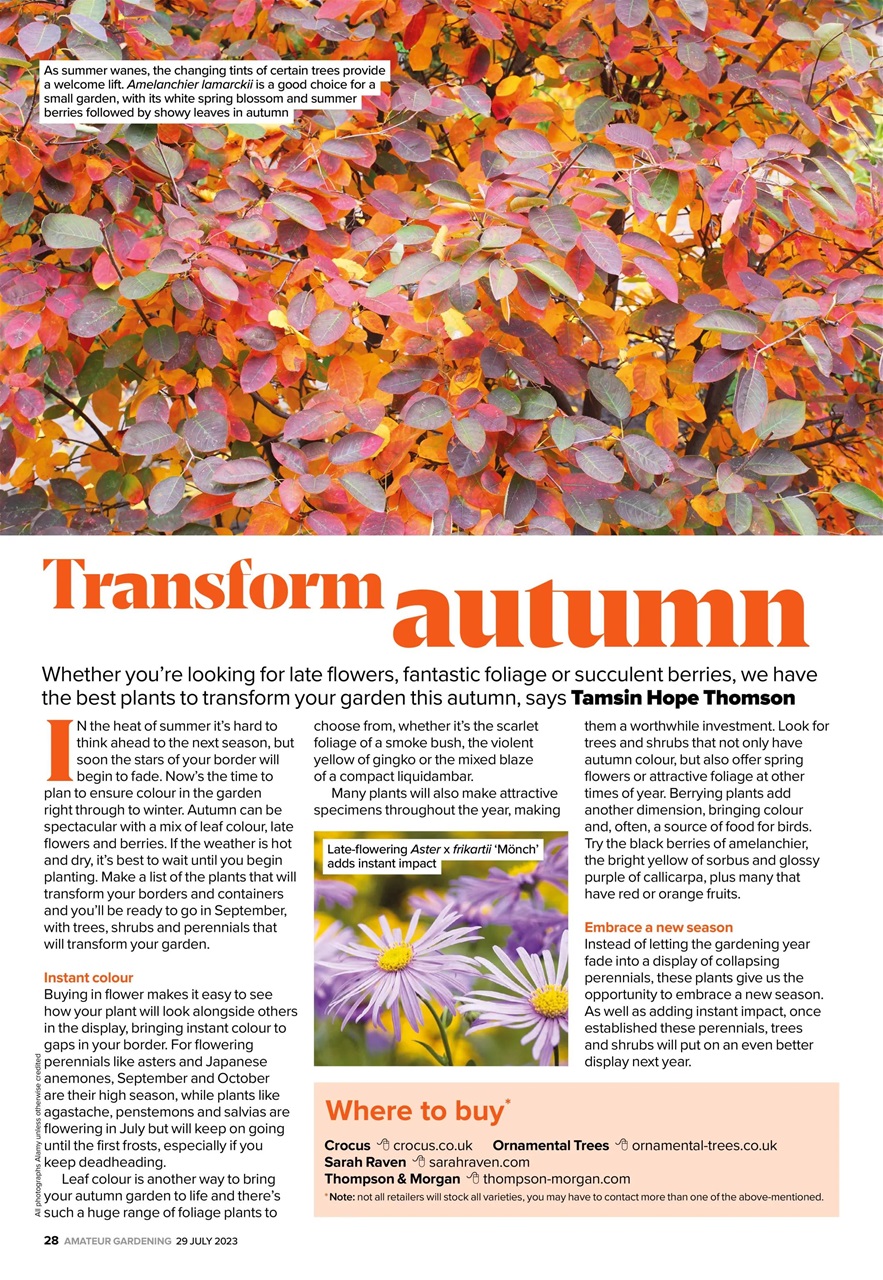 Amateur Gardening Preview Pages