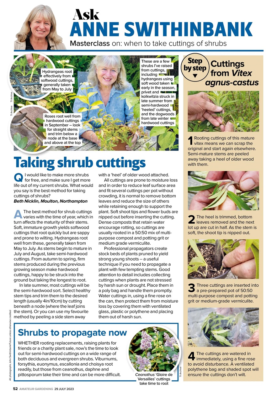 Amateur Gardening Preview Pages