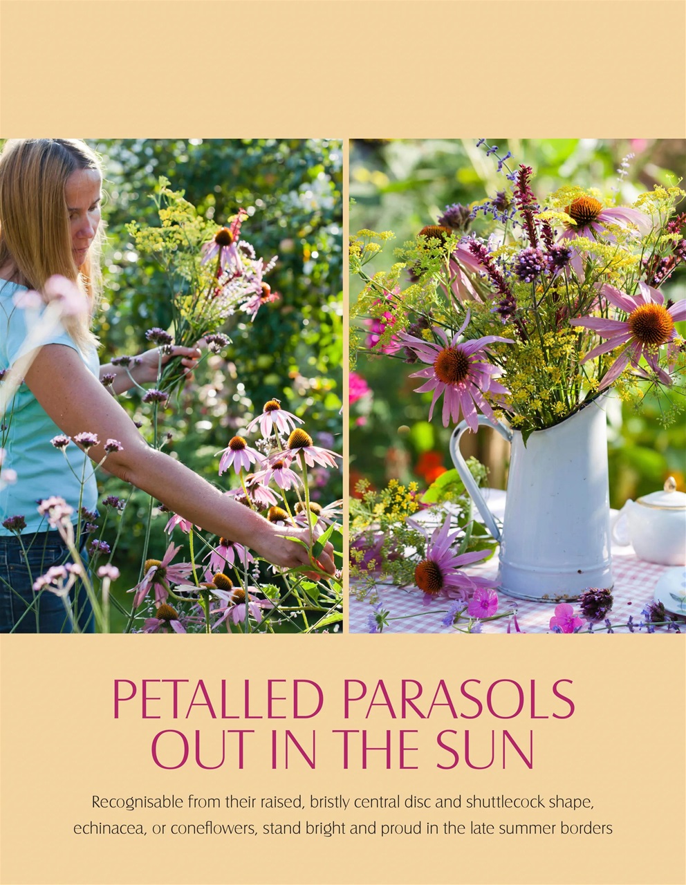 LandScape Preview Pages