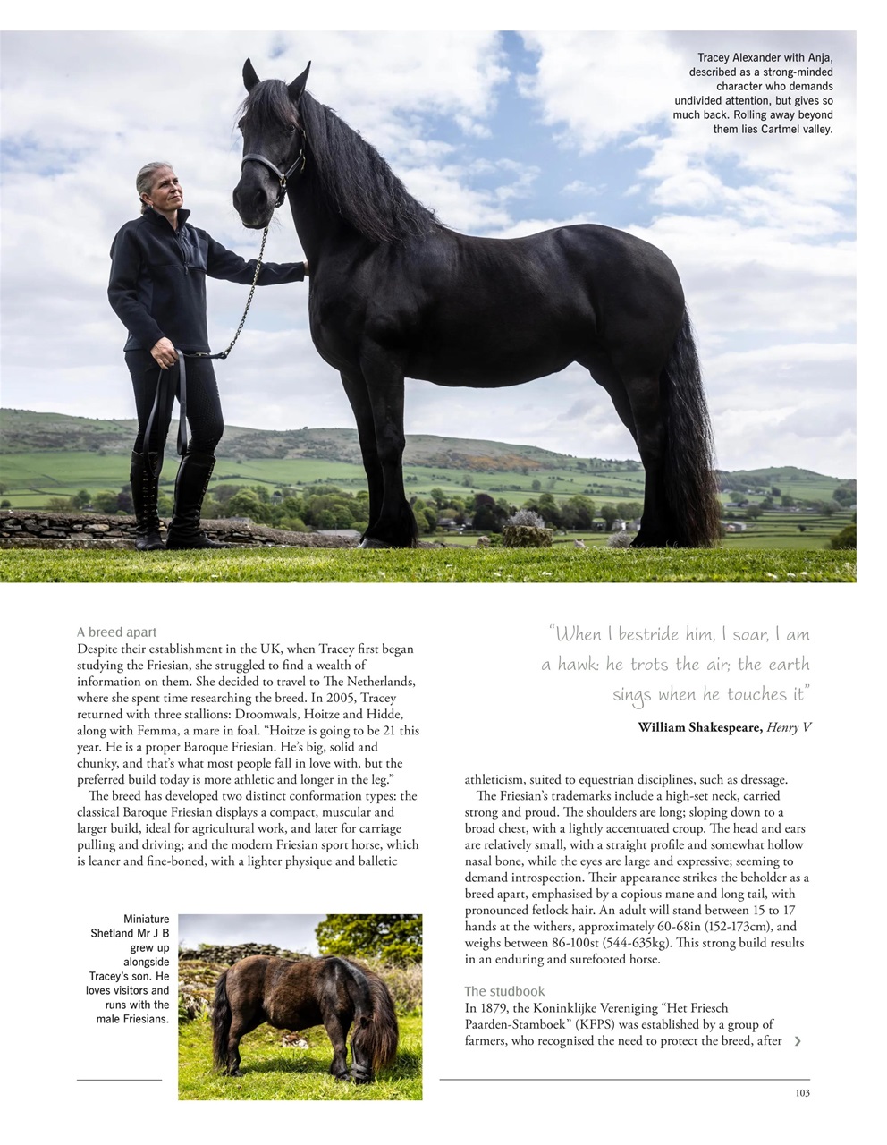 LandScape Preview Pages