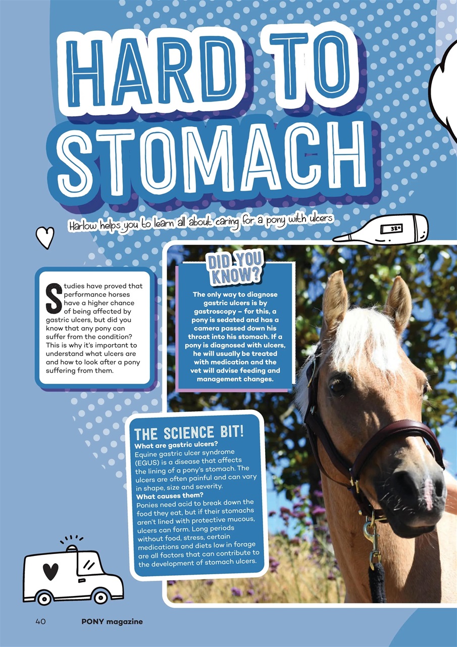 Pony Magazine Preview Pages