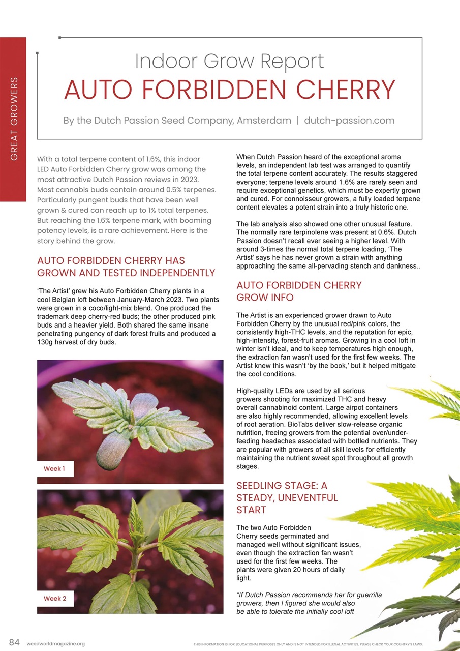 Weed World Preview Pages