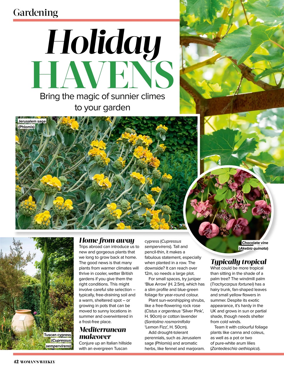 Woman's Weekly Preview Pages