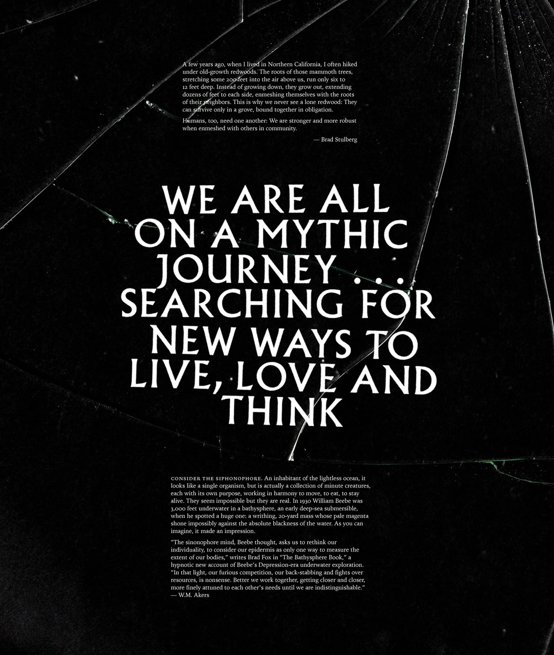 Adbusters Preview Pages