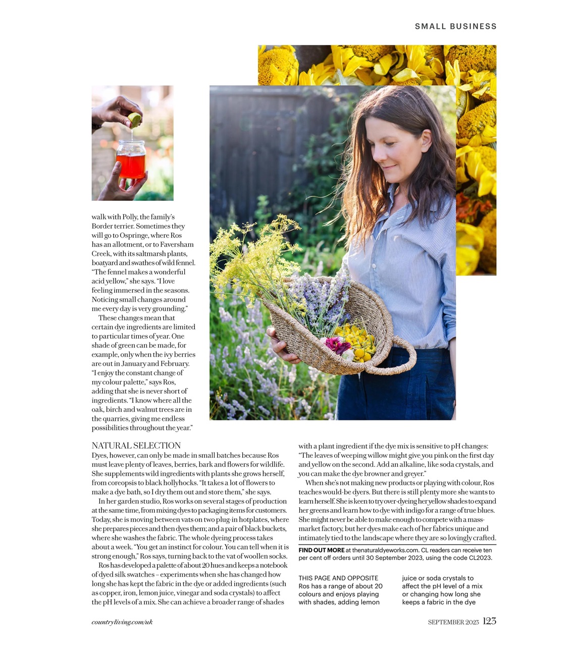 Country Living Preview Pages