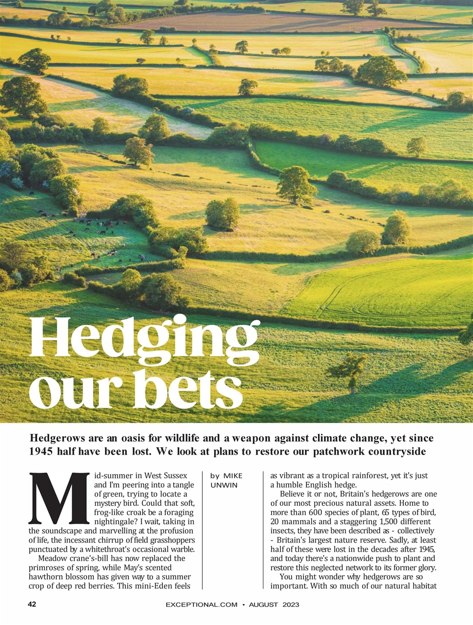 Saga Magazine Preview Pages