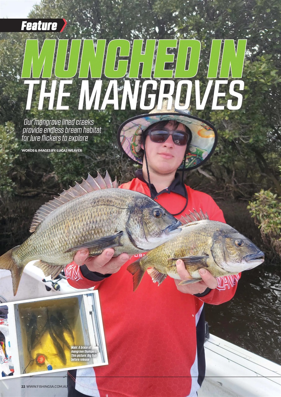 Fishing SA Preview Pages