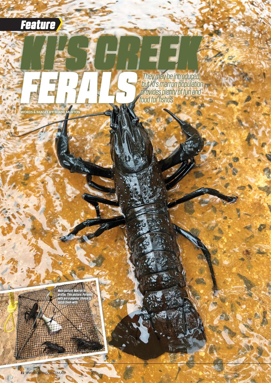 Fishing SA Preview Pages