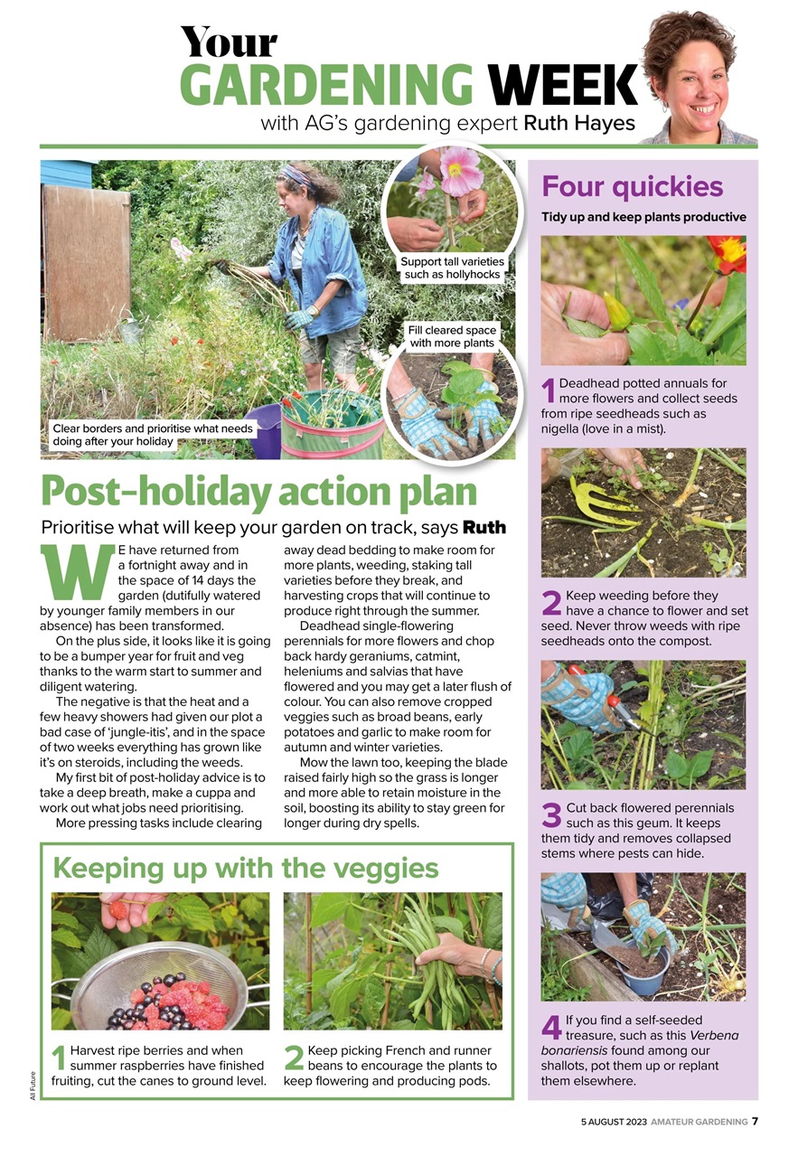 Amateur Gardening Preview Pages