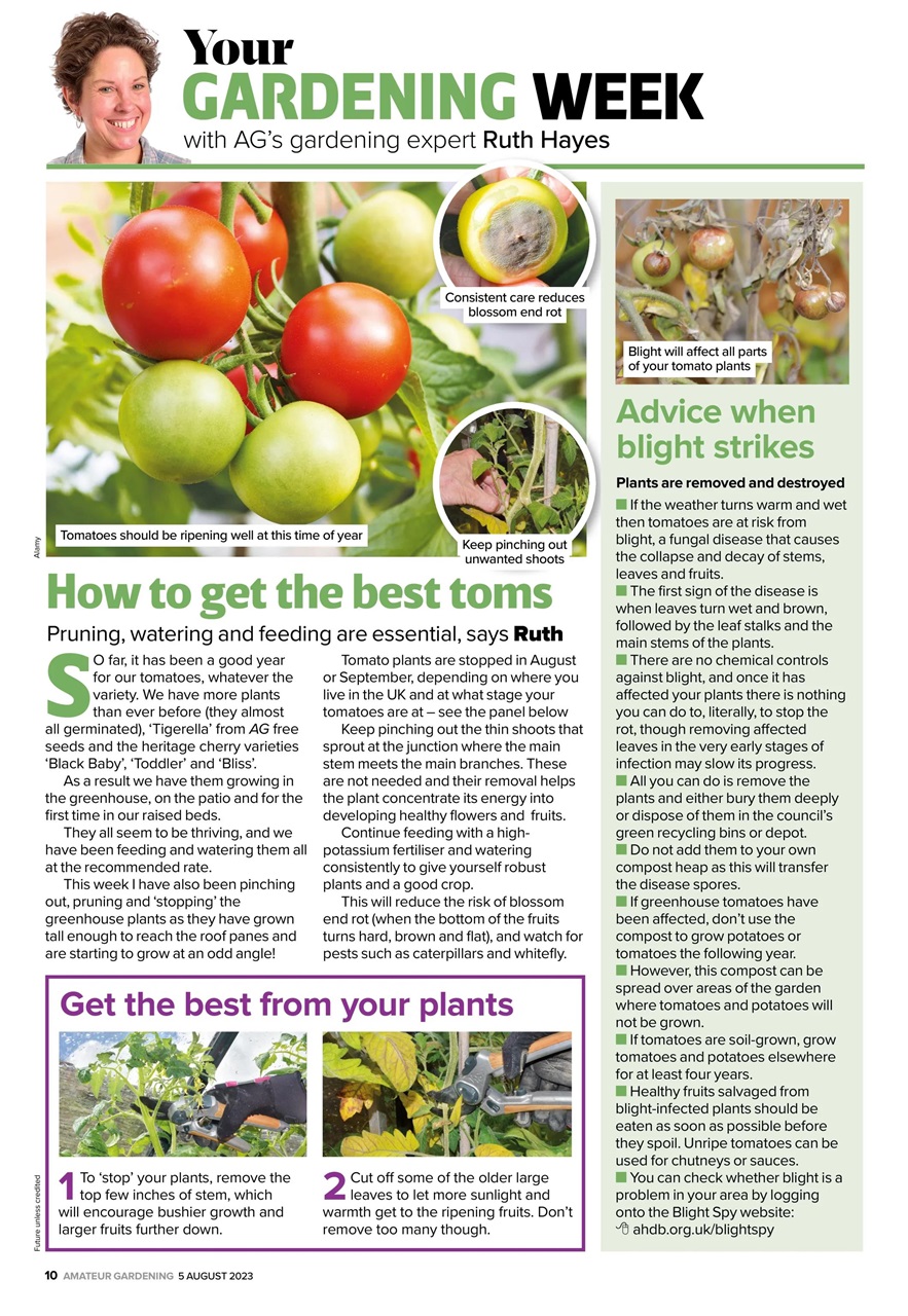 Amateur Gardening Preview Pages