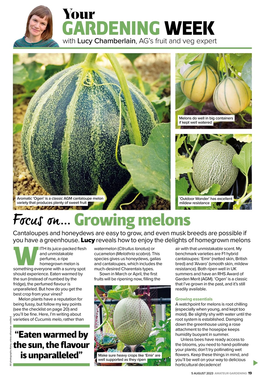 Amateur Gardening Preview Pages