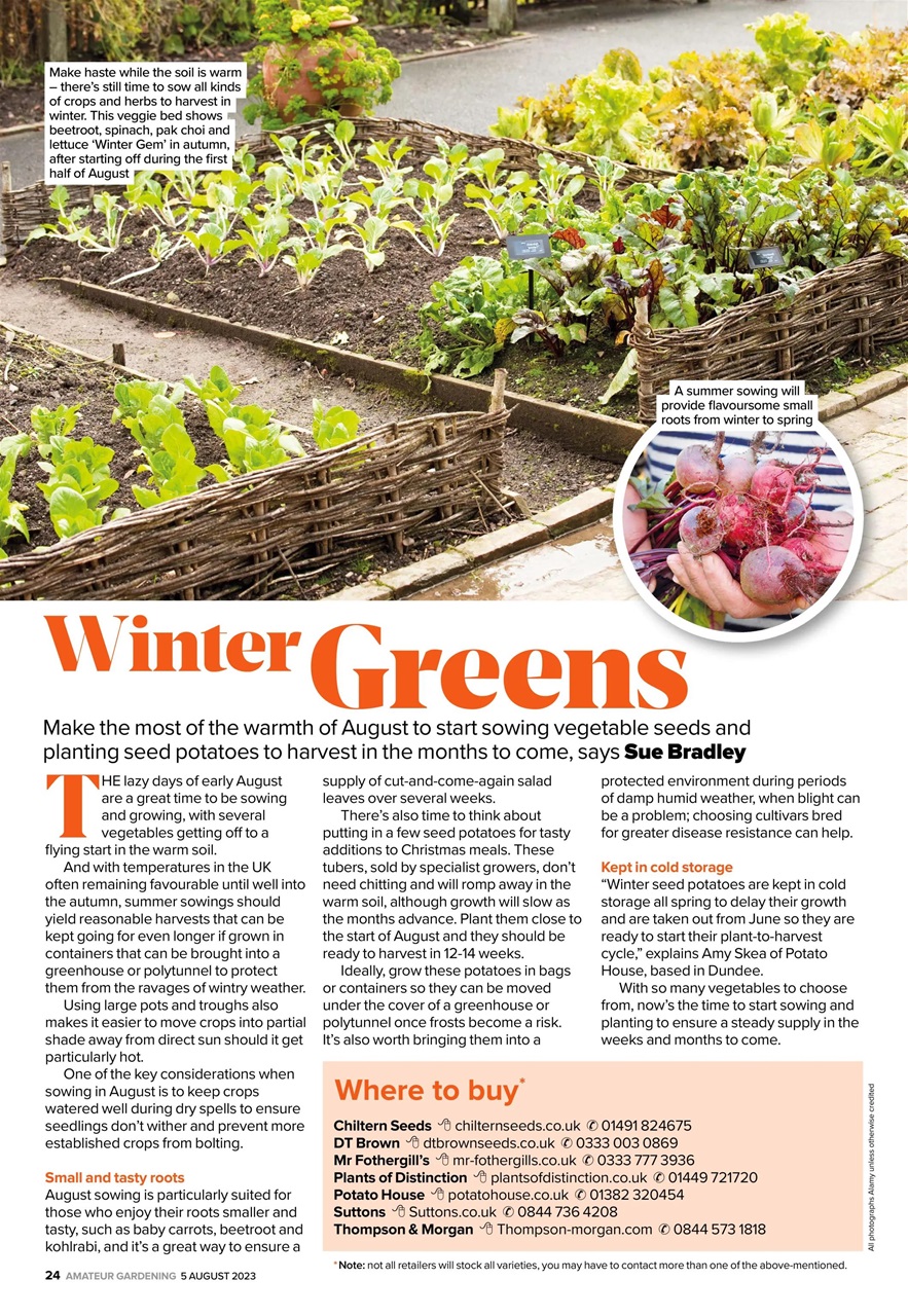 Amateur Gardening Preview Pages