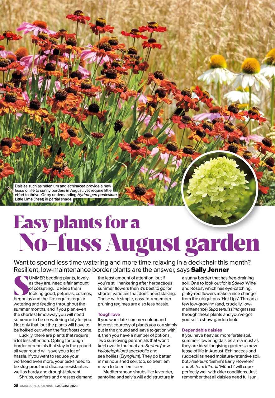 Amateur Gardening Preview Pages