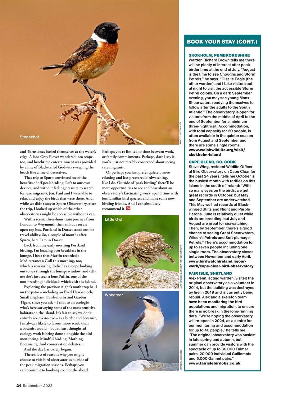 Bird Watching Preview Pages