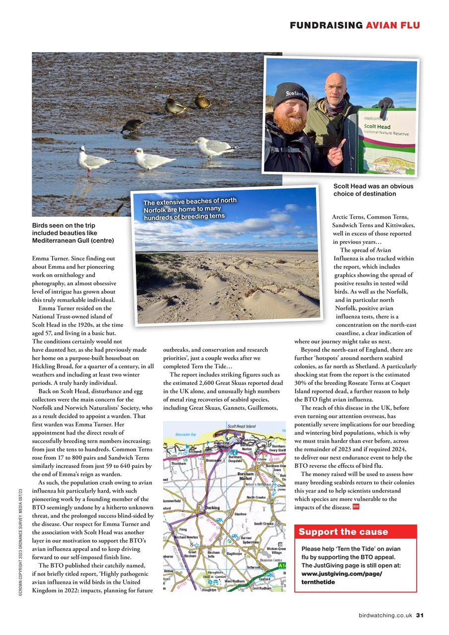 Bird Watching Preview Pages