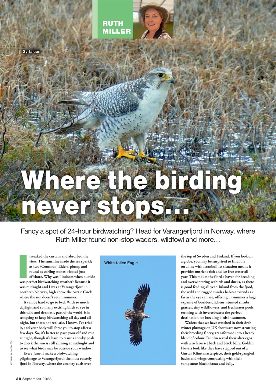 Bird Watching Preview Pages