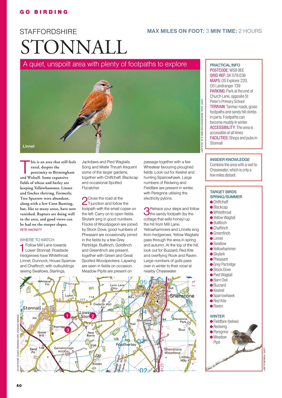 Bird Watching Preview Pages