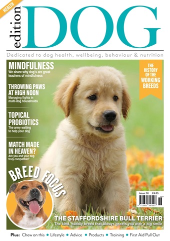 Edition Dog issue Edition Dog Issue 58