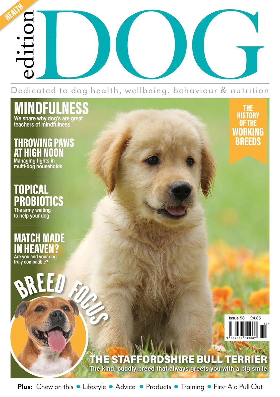Edition Dog Preview Pages