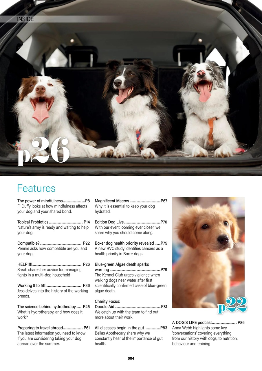 Edition Dog Preview Pages