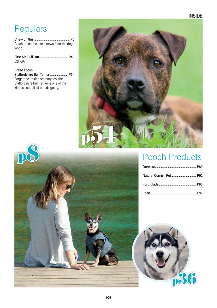 Edition Dog Preview Pages