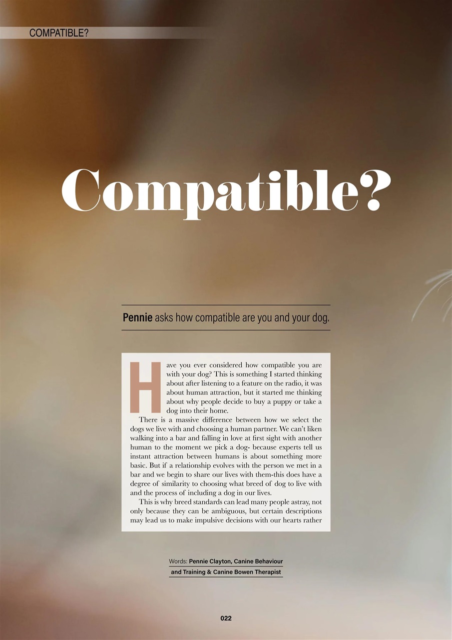 Edition Dog Preview Pages