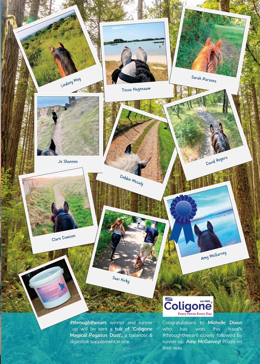 Boys Ride Too Preview Pages