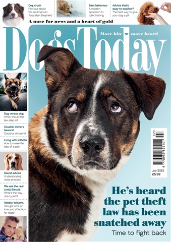 Dogs Today Magazine issue July 2023