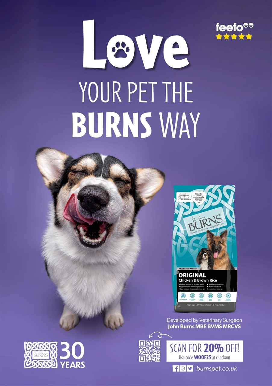 Dogs Today Magazine Preview Pages
