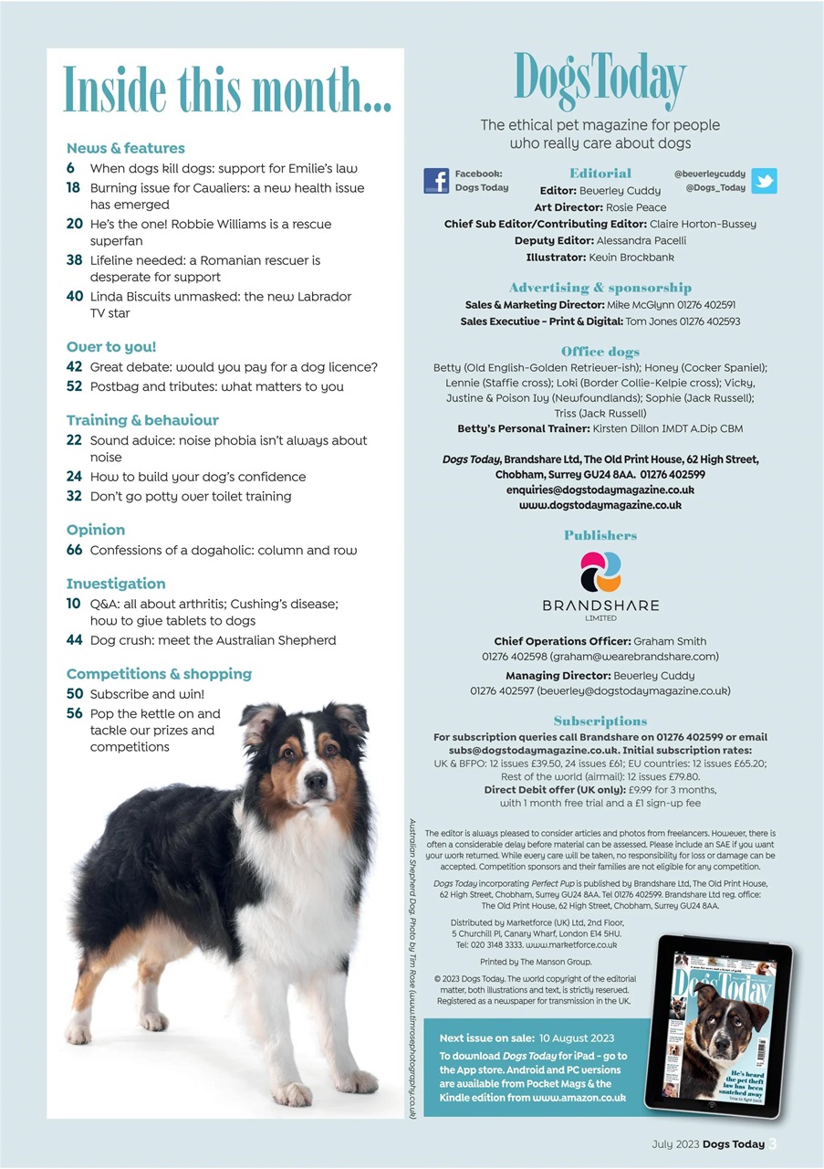 Dogs Today Magazine Preview Pages