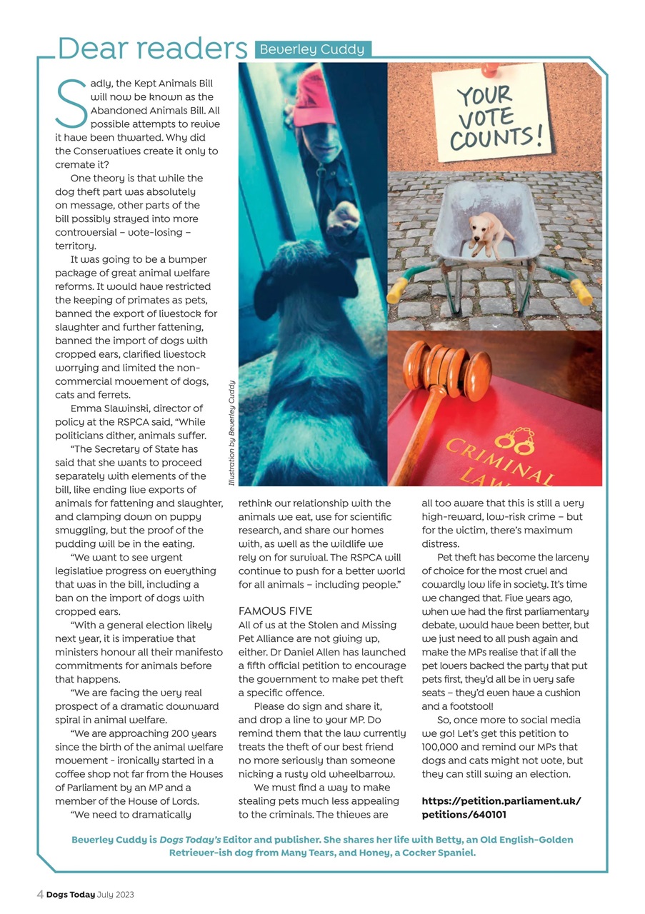 Dogs Today Magazine Preview Pages