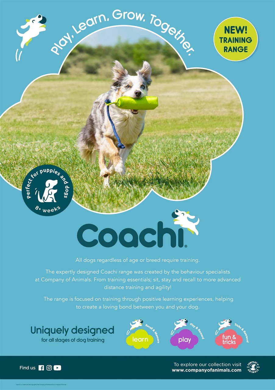 Dogs Today Magazine Preview Pages