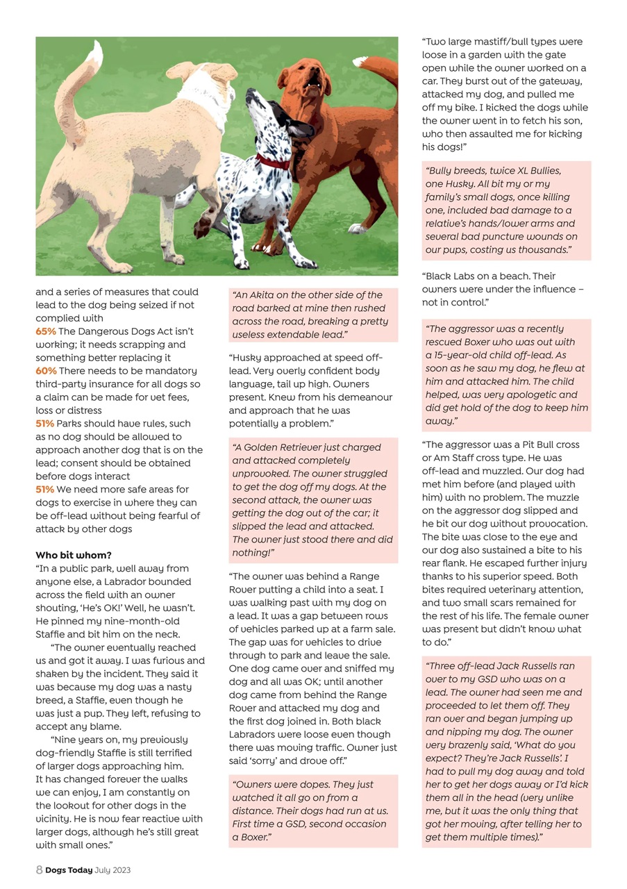 Dogs Today Magazine Preview Pages