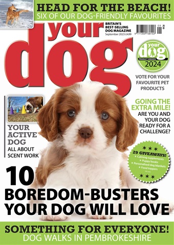 Your Dog issue September 2023