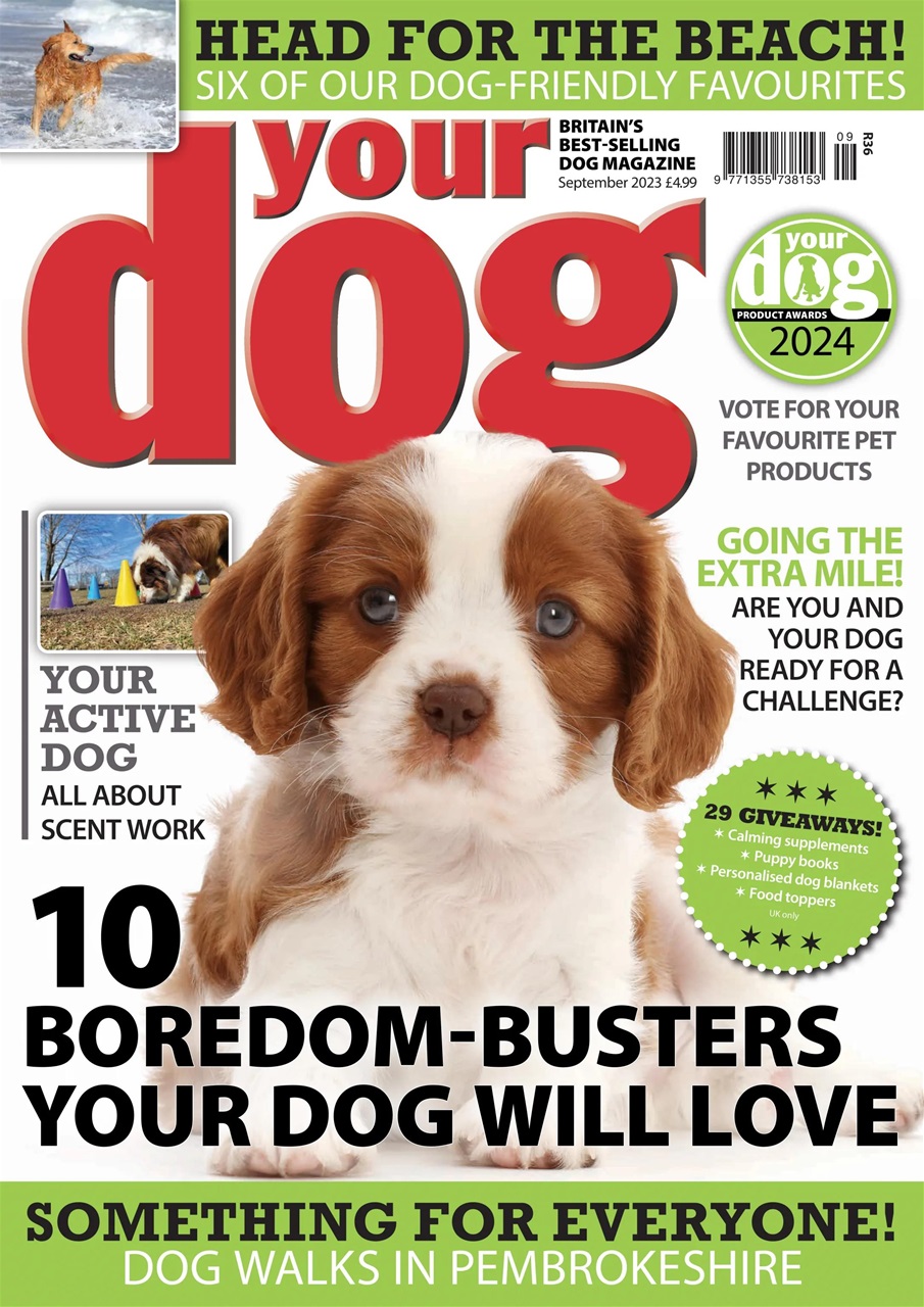 Your Dog Preview Pages